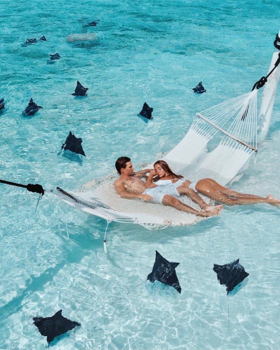 traveltrademv's tweet photo. You & Me... and a squadron of manta rays!
.
.
.
Only at @YouAndMeMaldives 💑🌊💯
.
.
.
#youandmemaldives #maldives #maldives2020 #mantaray #mantarays #asquadron #manta #amaca #hammock #becausethereisnoplanetb #visitmaldives
Repost from You & Me Maldives IG https://t.co/D5FWInvn0j