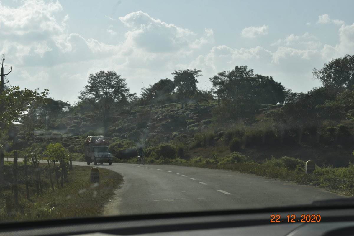 assamteaseller's tweet photo. At the end of 2020, we decided to go to Tripura teagardens on long pending invitations. Tripura roads are mostly good. Sometime narrow but smooth. Most of the roads from one town to another town are through thick jungle. This jungle roads make the trip more attractive. https://t.co/boKnz0e8Bp