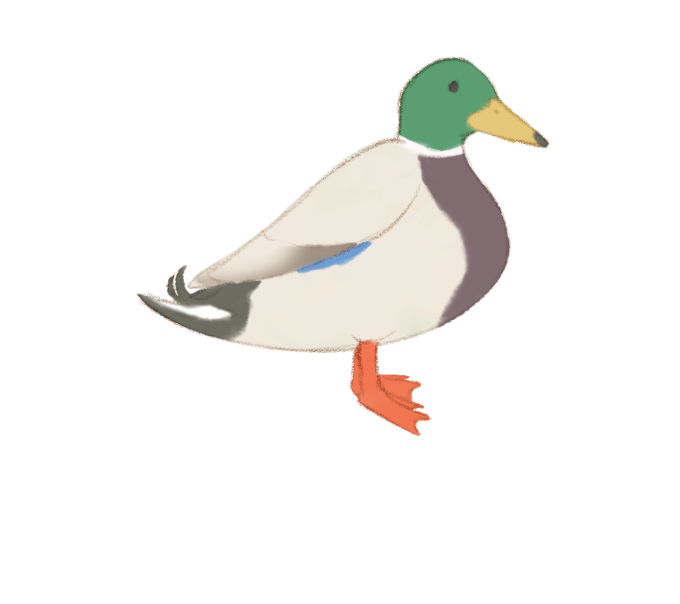 鳥のイラストのtwitterイラスト検索結果