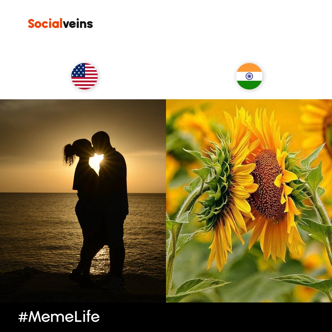 Socialveins's tweet photo. Make your version 😎

#socialveins #memes #meme #mememarketing #marketing #marketingdigital #contentmarketing #influencermarketing #influencer #influencers #sponsors #sponsor #sponsorship #india #usa #indiavsusa #usavsindia #usaindians https://t.co/KwkSIvXdhi