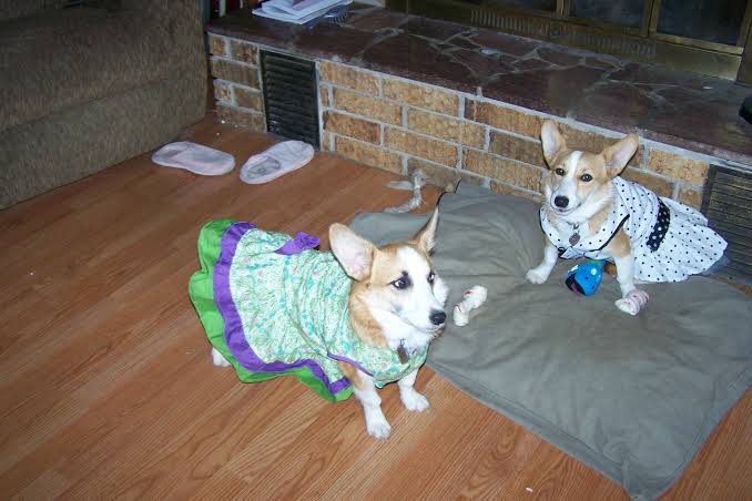 Philippa que Prudence Featherington