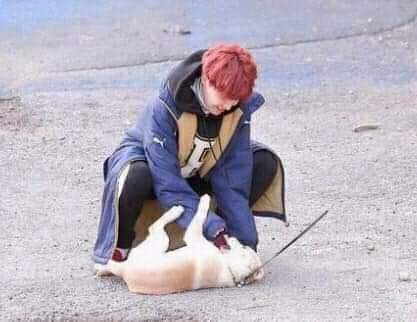 Since hobi's Birthday is coming hehe— Hoseok being the smallest thing in this world (a devastating thread) 