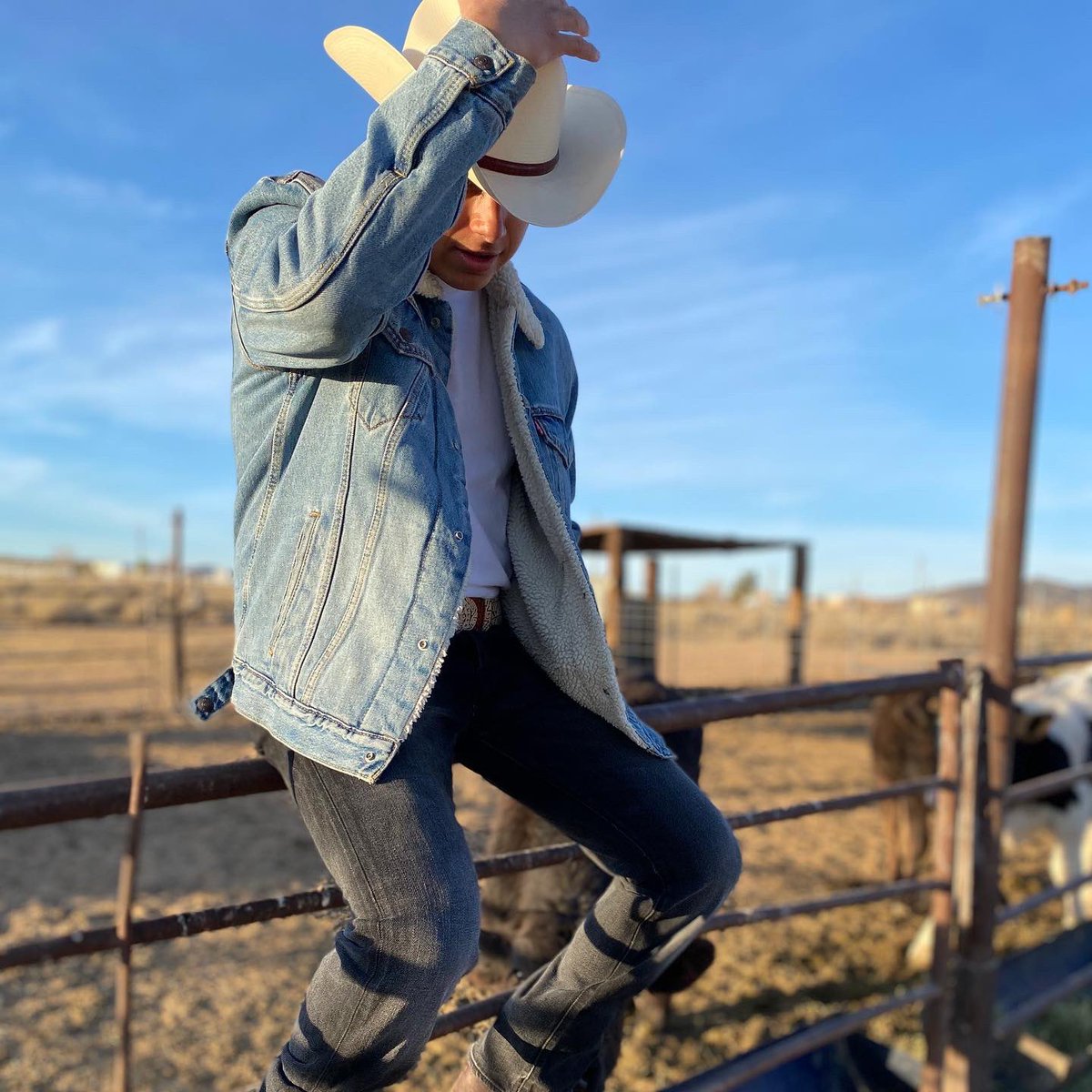 zzhyigds's tweet photo. 🐮 https://t.co/9IxD9WBNbJ