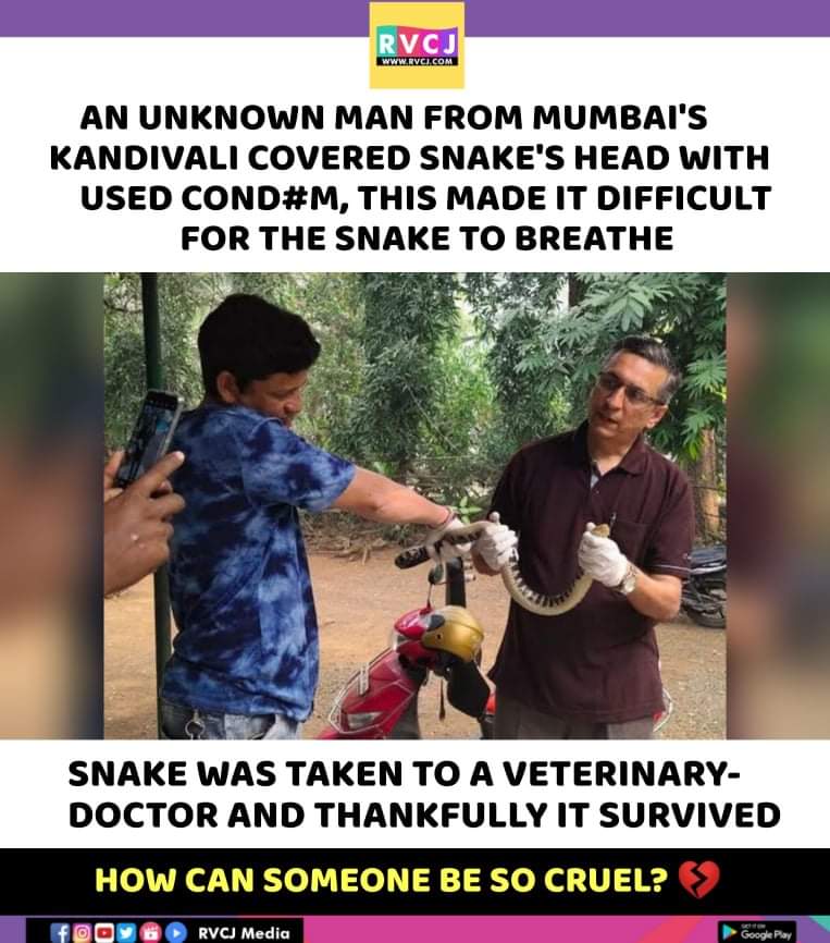 RVCJ_FB's tweet photo. Sometimes human cruel 💔 https://t.co/gIs2Pel7rF