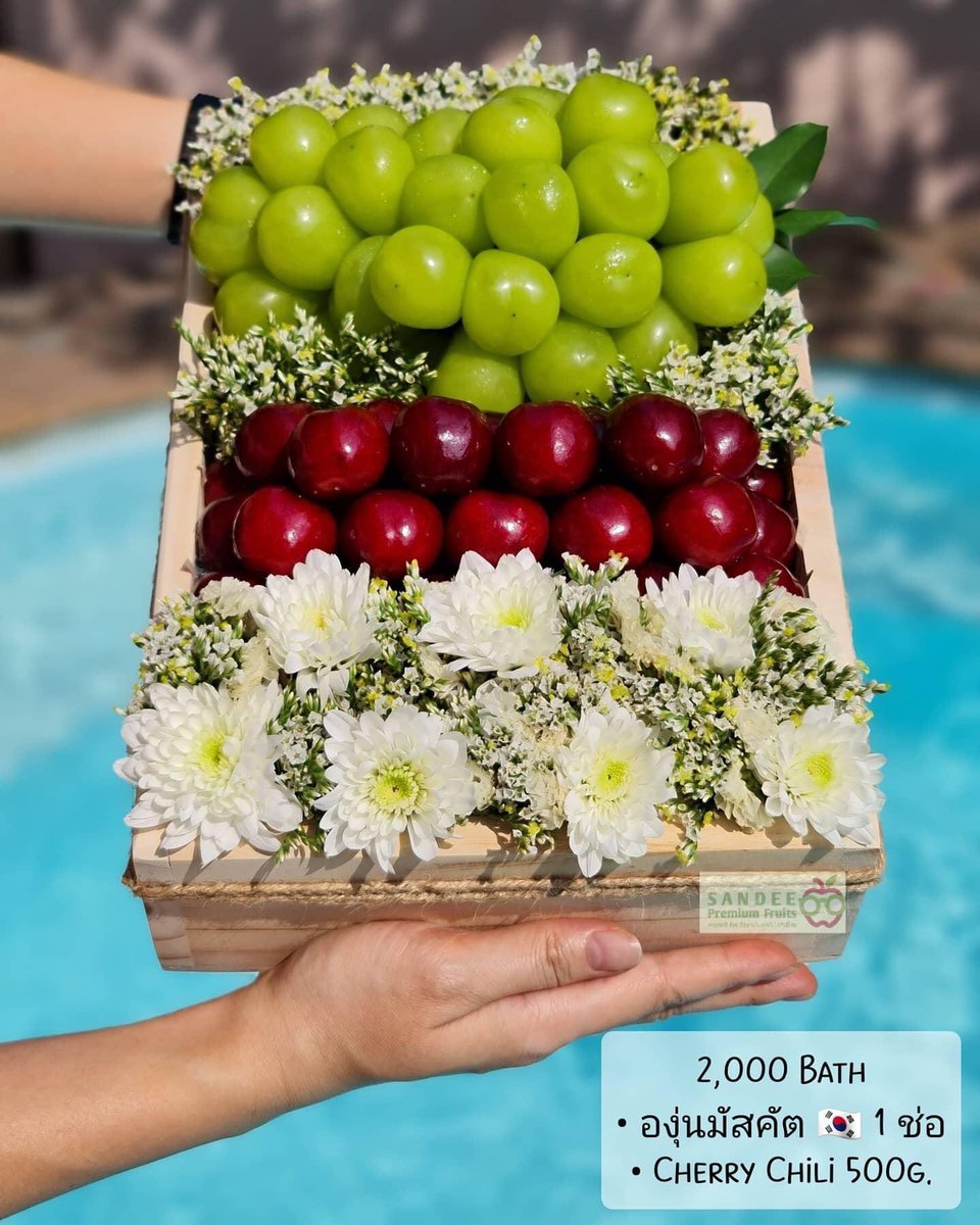 SandeeFruits's tweet photo. Boxset ขายดีประจำร้านเราค้าบบบบ
จะเทศกาลงานไหนๆ นึกอะไรไม่ออกบอกเราได้นะคะ มีงบเท่าไหร่ อยากได้ผลไม้อะไร ไลน์มาหาเราได้ตลอดเลยค่ะ ร้านเราสามารถจัดได้ตามงบประมาณและความเหมาะสมที่ลูกค้ามีได้ฮะ 🙏💕
แอดไลน์ตามลิ้งค์นี้เลยจ้าา
👇👇👇👇
Line Id:@SandeeFruits https://t.co/9SsKCdyftE