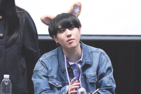 ไอ้ต้าวกระต่ายน้อยย🐰✨ tweet media