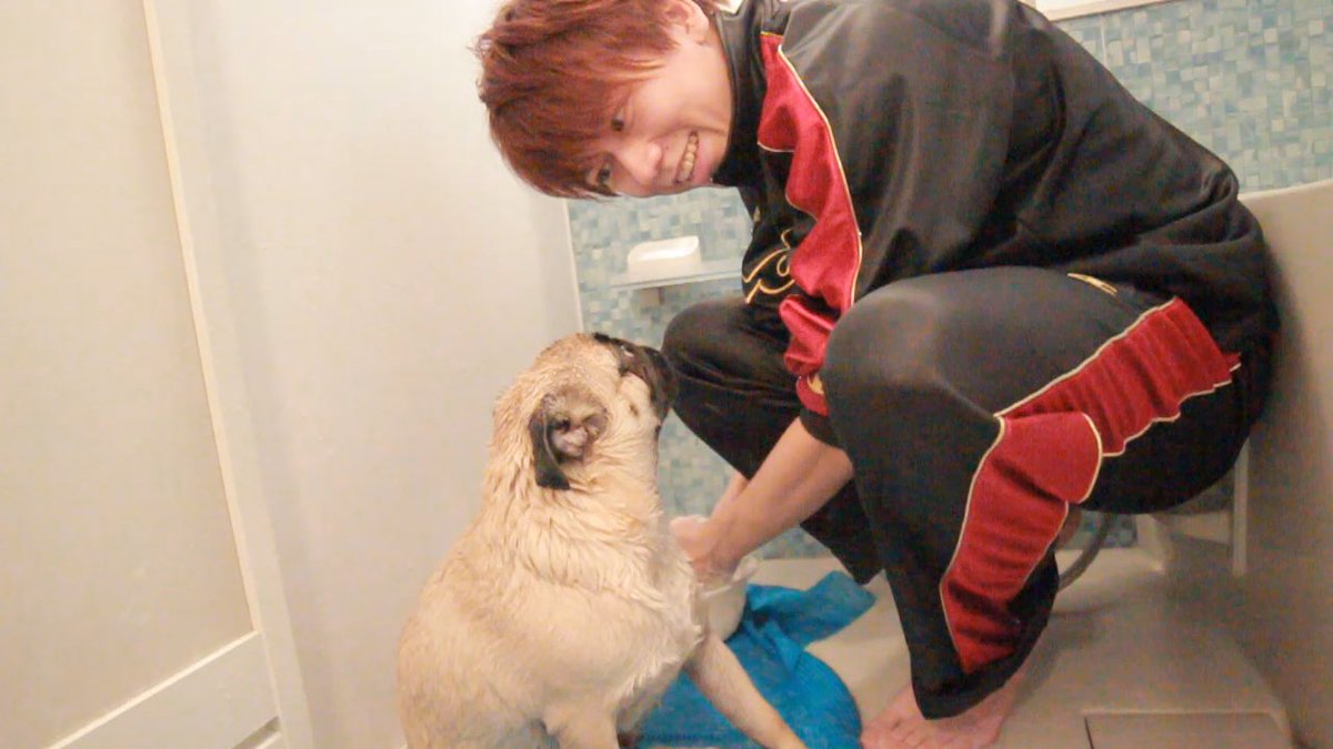 高野 光平 友達のパグをシャンプーしてきました T Co Jvdu9csdtu 初の シャンプー ぜひご視聴ください パグ 豆腐パスタ