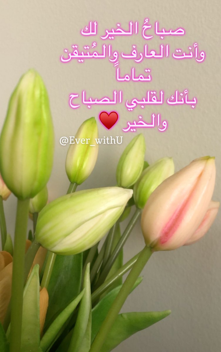 صباحُ الخير لك
وأنت العارف والمُتيقن تماماً
بأنك لقلبي الصباح والخير ♥️

#صباح_الخير
#صباح_الحب
#صباحي_انت