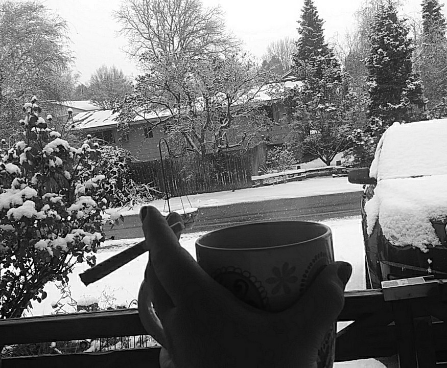 gizmo8404's tweet photo. #winterwonderland ❄💚 #WakeNBake 💚❄
#dazeoff ❄💚 https://t.co/g3GLmmfLiZ