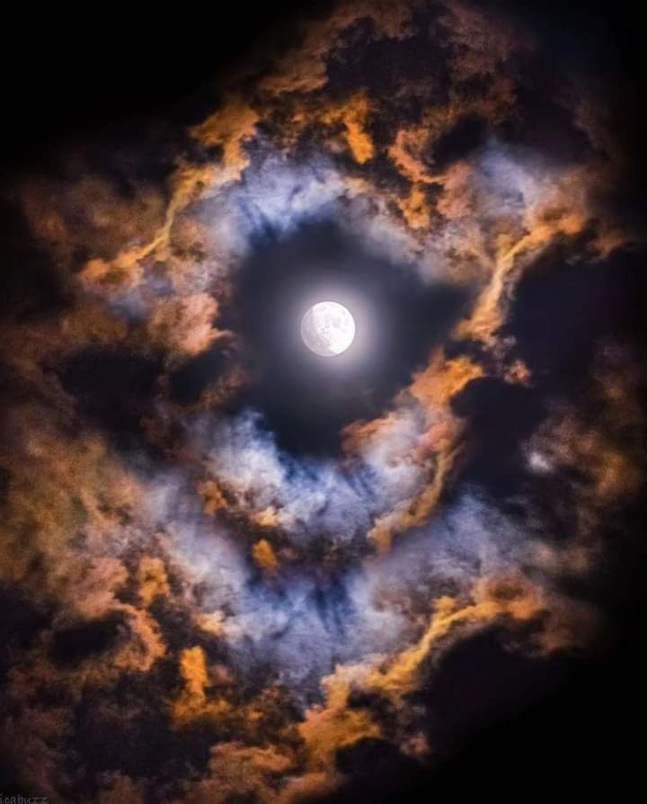 🌜moonlight🌛 tweet media