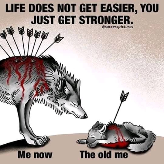 Our Happiness and Choices depend on how we choose to look at this thing callled LIFE... .Thread