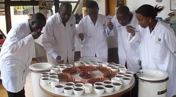 OWC_ug's tweet photo. . @GovUganda has installed 80 Assorted Agro-Processing Facilities country-wide including; 33 Coffee Hullers, 2 Rice Hullers and 30 Maize Mills, 14 Milk Coolers and 1 Cocoa Bulk Centre to provide storage, branding, and value-addition to agricultural commodities. https://t.co/9ZY72L2cGv