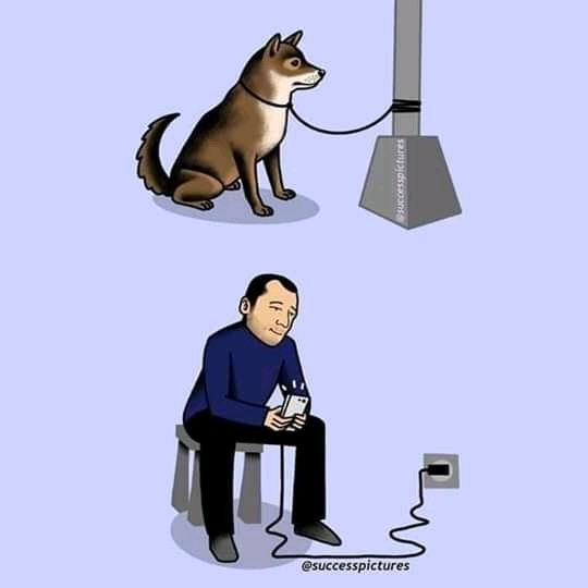 Our Happiness and Choices depend on how we choose to look at this thing callled LIFE... .Thread