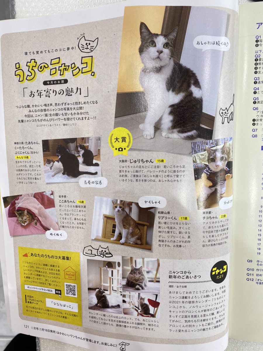 ariponz's tweet photo. 今週発売のオレンジページにじゅりさん掲載！
全国誌デビューです🐱🐱🐱
そしてまさかの大賞です😭💕
じゅりさんにインタビューしたところ、「まじで！？」と驚かれておりました。 https://t.co/pibFjxrX8O