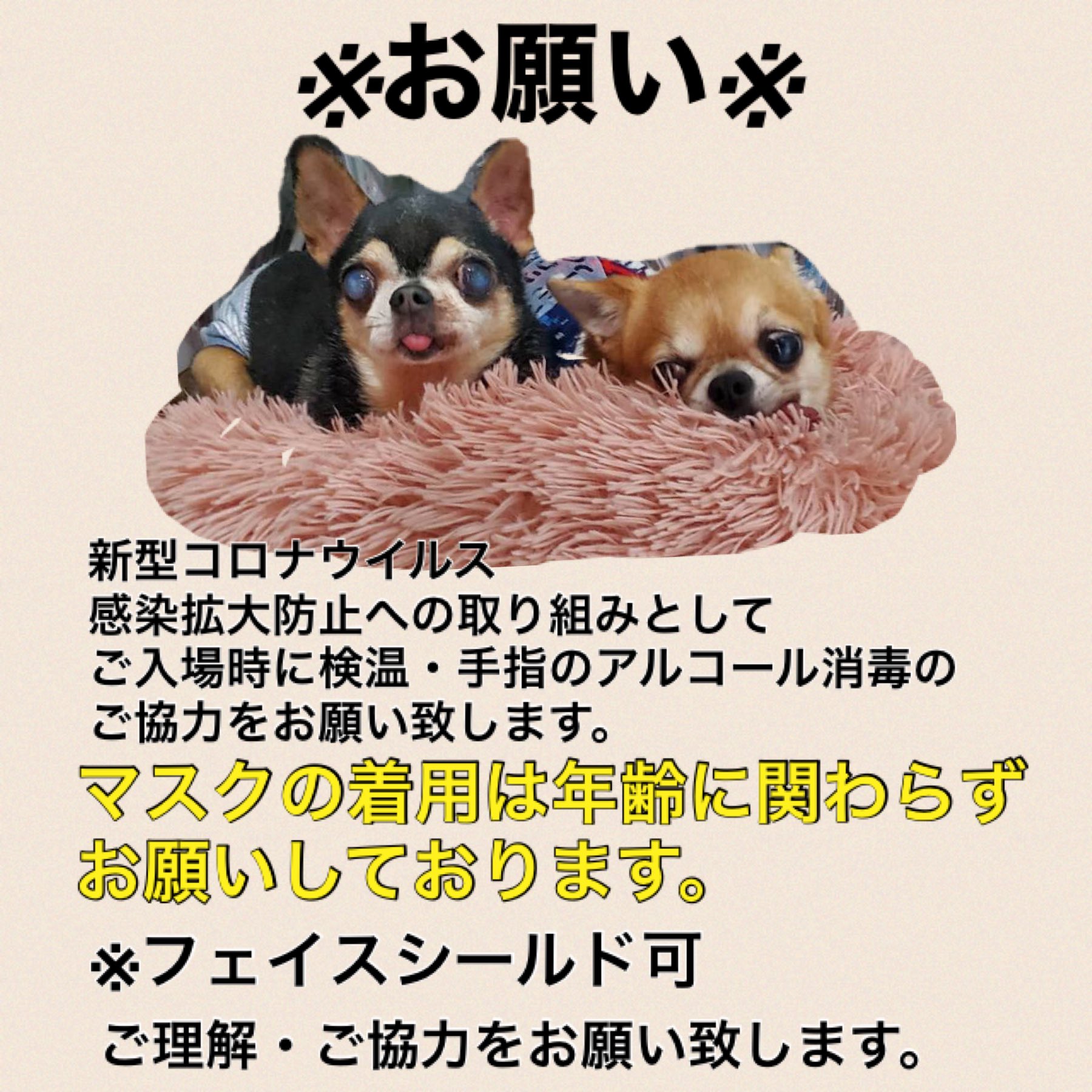 保護犬カフェ 立川店 Hogocafe Tachi Twitter