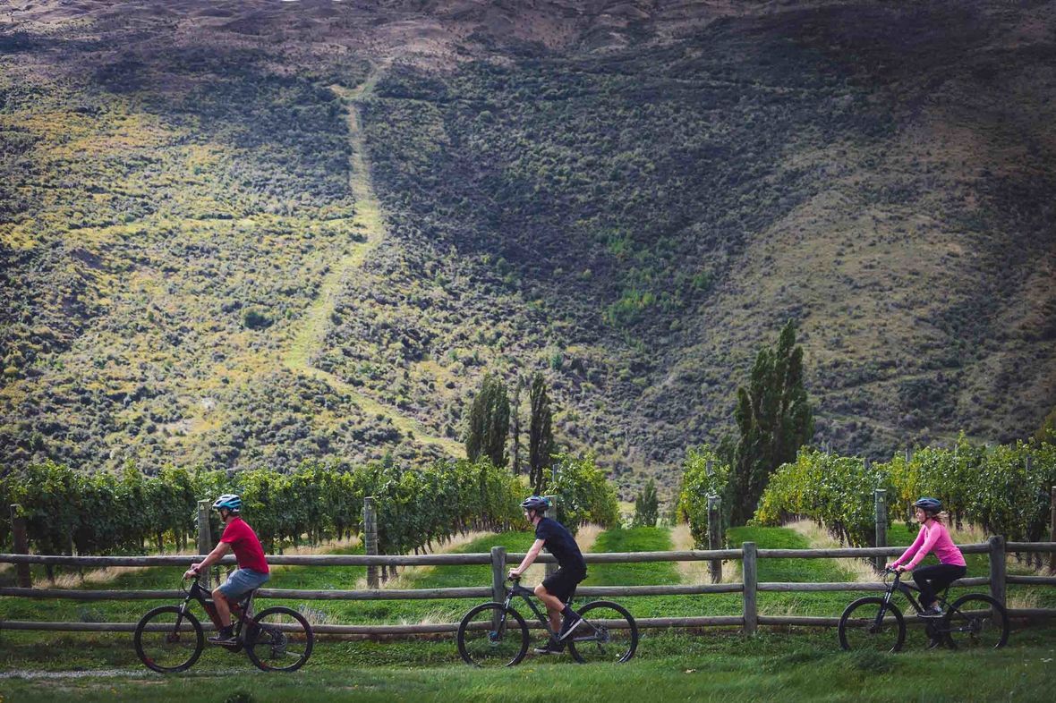 A few of the many great biking day tours of Australia and New Zealand

TOP 10 🙌 buff.ly/2XdVrWP

#cycle #tour #daytour #bicycle #australia #bike #tour, #newzealand #cycling #holiday