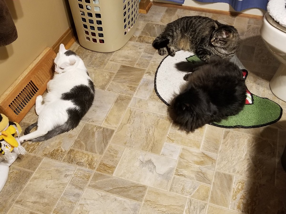 My broders and sissers are weird! Day wike hangin out in the baffroom!