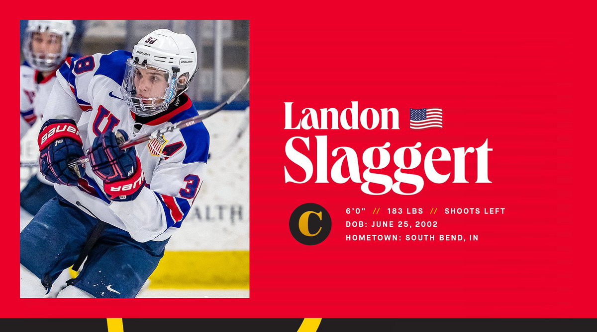 NHLBlackhawks's tweet photo. Congrats to #Blackhawks prospect Landon Slaggert and the rest of @usahockey 🥇

#WorldJuniors https://t.co/Kr0XVhfReU