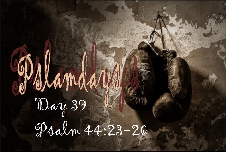 gotGodship's tweet photo. Awake, Lord! Why do you sleep? Rouse yourself! Do not reject us forever. Why do you hide your face and forget our misery and oppression? We are brought down to the dust; our bodies cling to the ground. Rise up and help us; rescue us because of your unfailing love. https://t.co/KheCqfGLBn