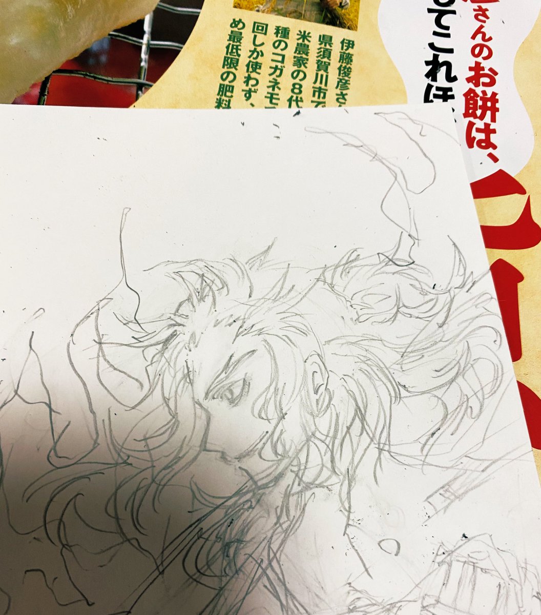 許してくれ甥っ子よ
年賀をイッヌに食べられた上に
返事で絵を必ず描けと言われ泣く泣く描いた必死な叔母の絵を...
許してくれ... 