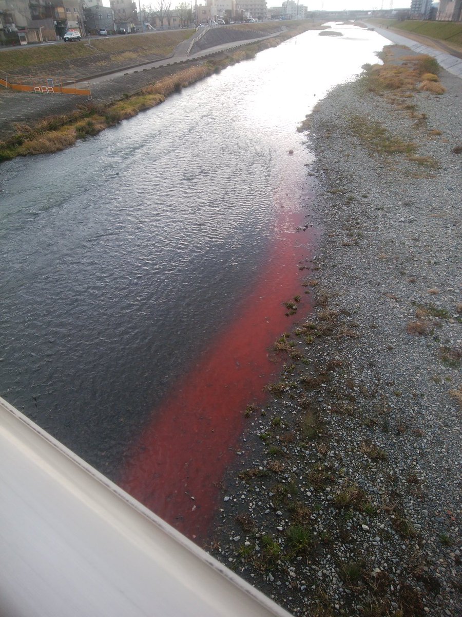 年明け早々 鴨川が真っ赤に染まる事態に 方丈記やあるまいし まるで Siren サイレン 京都って ドラクエ６の アモールだったの などネットユーザのツッコミ Togetter