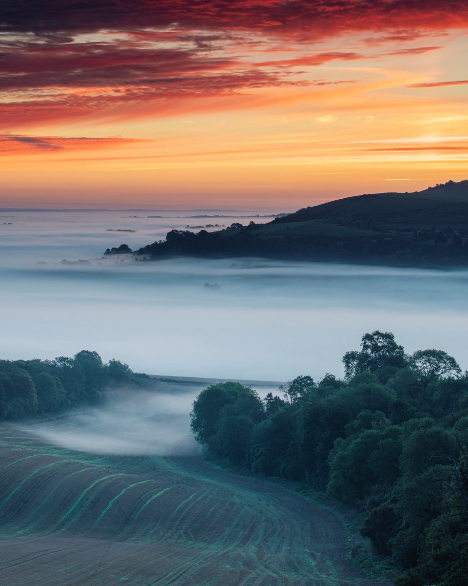 The People's Choice vote is now open! 

You have until 31 January to cast a vote for your favourite entrant from this year's photo competition shortlist. 

Below are some of the highly-commended images the judges enjoyed. 

Vote here: buff.ly/3hKwZFU 

#SouthDowns