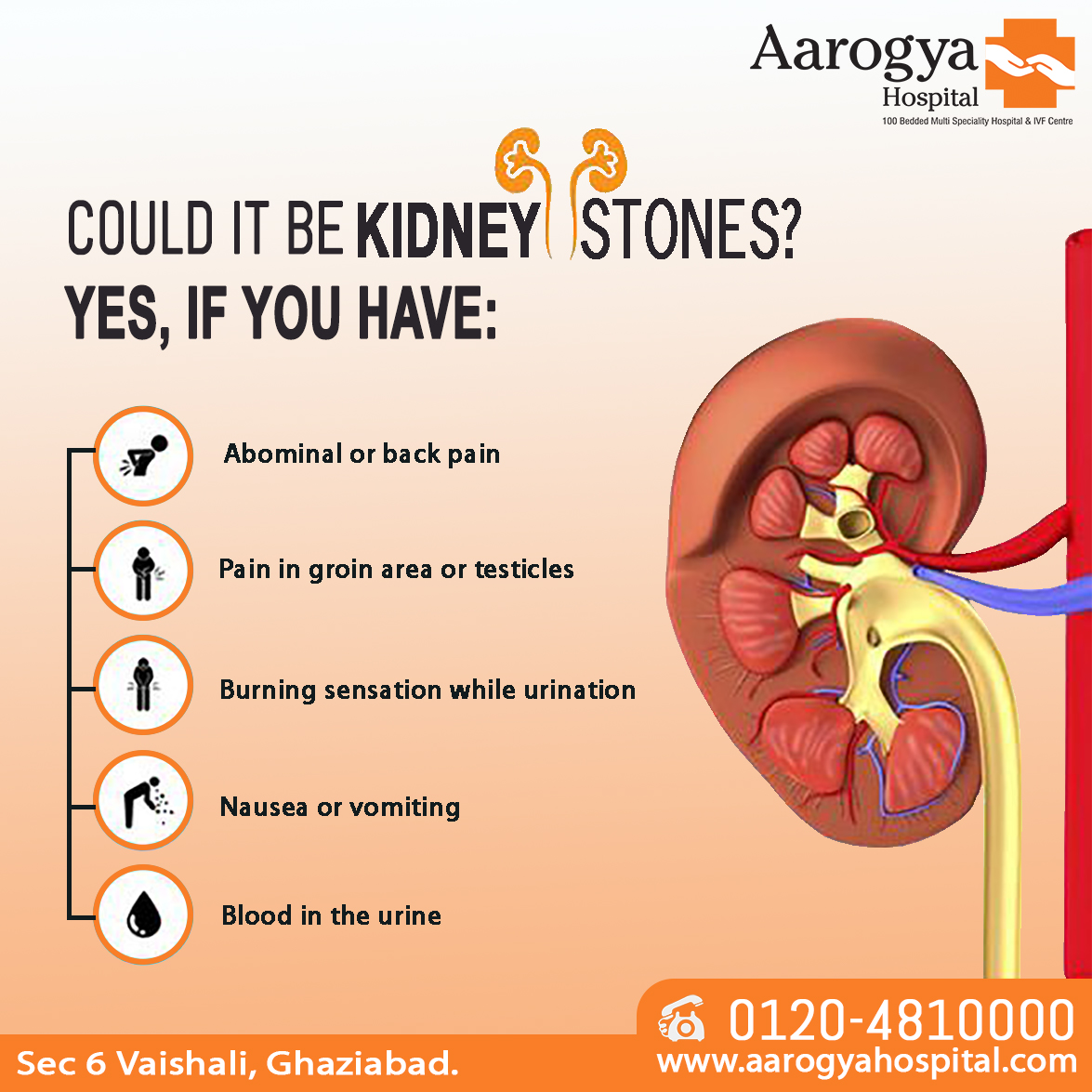 Aarogya Hospital on Twitter: "Kidney stones that block the urinary tract or  cause severe pain or dehydration may require a hospital visit. Here are  seven signs and symptoms that you may have