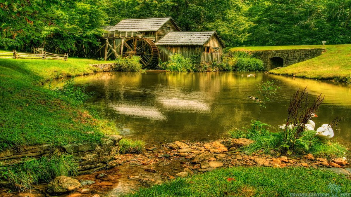 Beautiful scenes. Домик на природе. Природа деревня. Пруд в лесу. Сказочная природа.