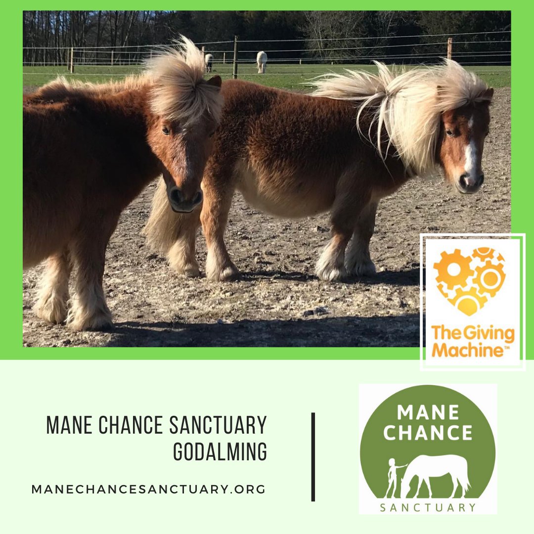 manechance's tweet photo. If you’re shopping in the #Januarysales, please consider using #TheGivingMachine. Each time you shop online via The Giving Machine, we receive a #donation and it costs you nothing! 
Read more here: https://t.co/gFjQ8LUUyV @GivingMachineUK #fundraising #rescuehorses #manechance https://t.co/gdrGrCg14n