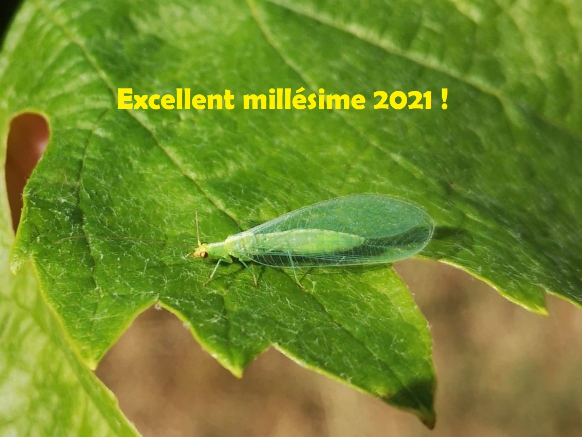 🌟 Toute l'équipe du #siteatelierBacchus vous souhaite un excellent millésime 2021 et de belles expériences à partager en faveur de la biodiversité 🐞🐝🕷️🌼! Pour les 📰c'est par là ➡️ bit.ly/2Ln04vh