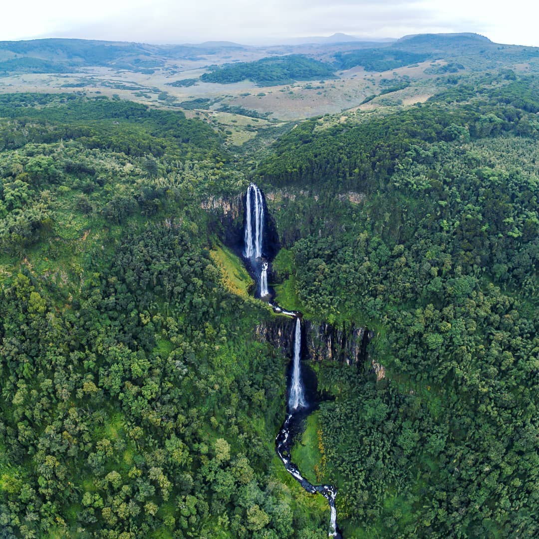 kenyapics's tweet photo. Aberdare National Park. Photo by @Davidian_254 https://t.co/oBCM4PMFZH