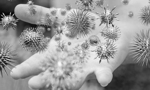 Keine Chance für Corona auf Oberflächen. Mit dem Dispersionlacks Lock 3 bieten wir die keimtötende Antwort für Printprodukte: wolf-ingelheim.de/corona-antimik…