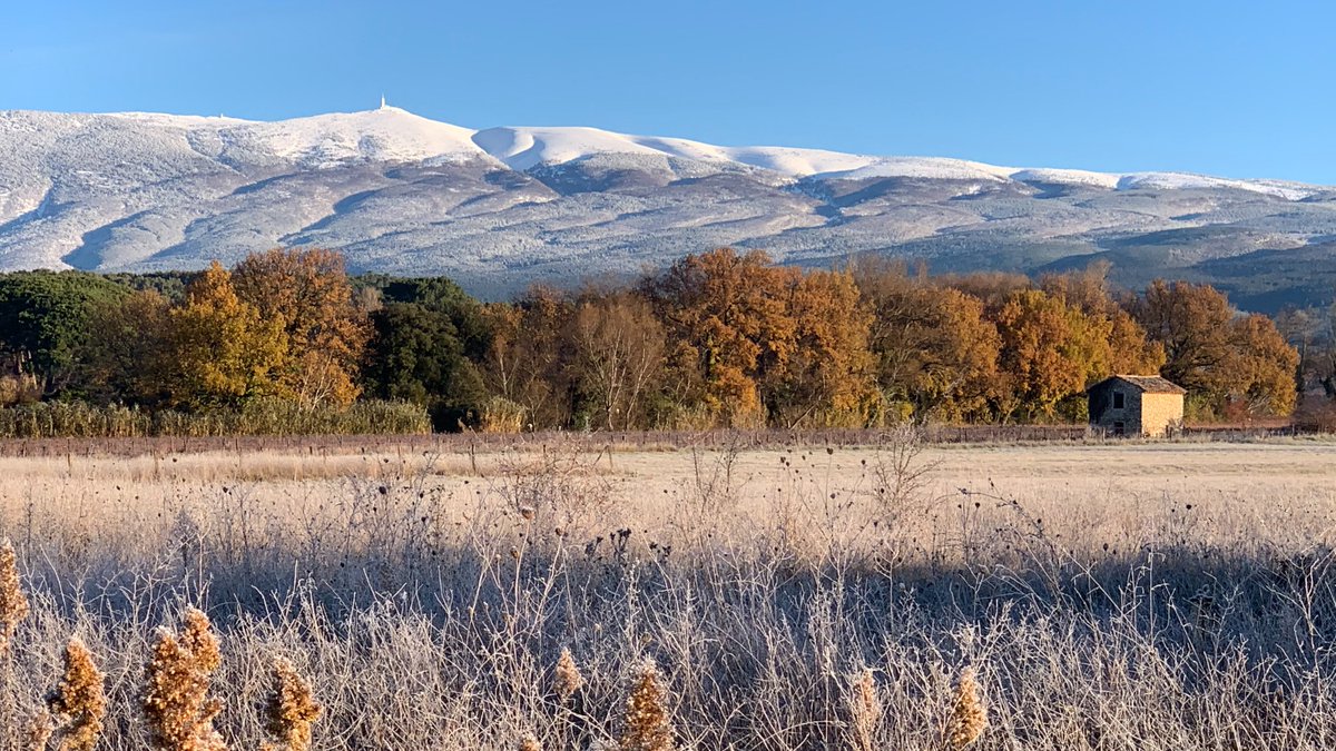 domainedesbernardins tweet media