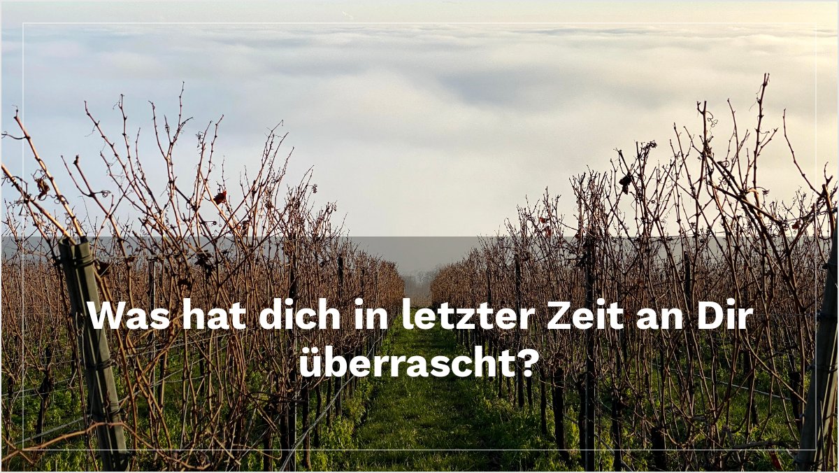 Kamil Barbarski tweet media