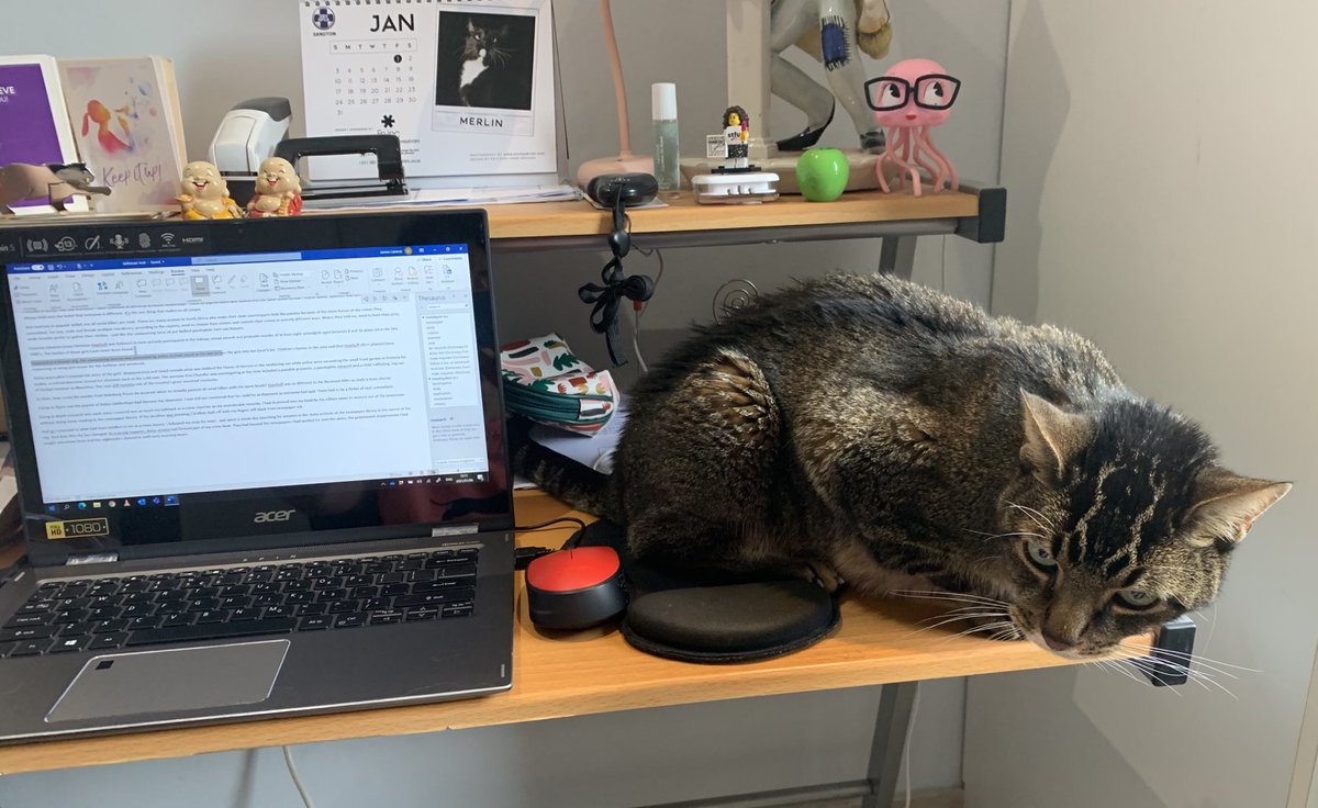 JanineLazarus's tweet photo. So dear Twitterverse, my muse is back just where he belongs.
Picasso is truly helping me to tackle the second half of my book #FelineInspiration https://t.co/lJ3eli6Ona
