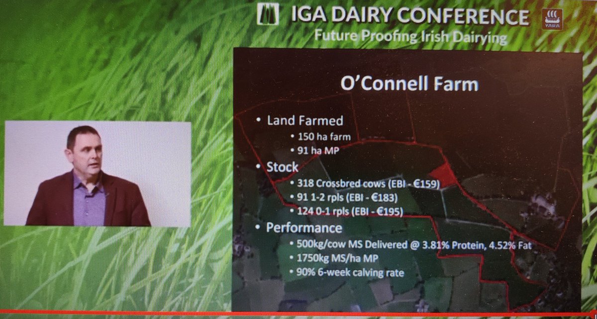 M_Mulkerrins's tweet photo. Interesting presentations in this mornings IGA dairy conference with current speaker, dairy farmer Tom O'Connell, giving insights to his family farm in cork - super performance #dairy #Ireland #pasturebased https://t.co/0oOCr4jvcC