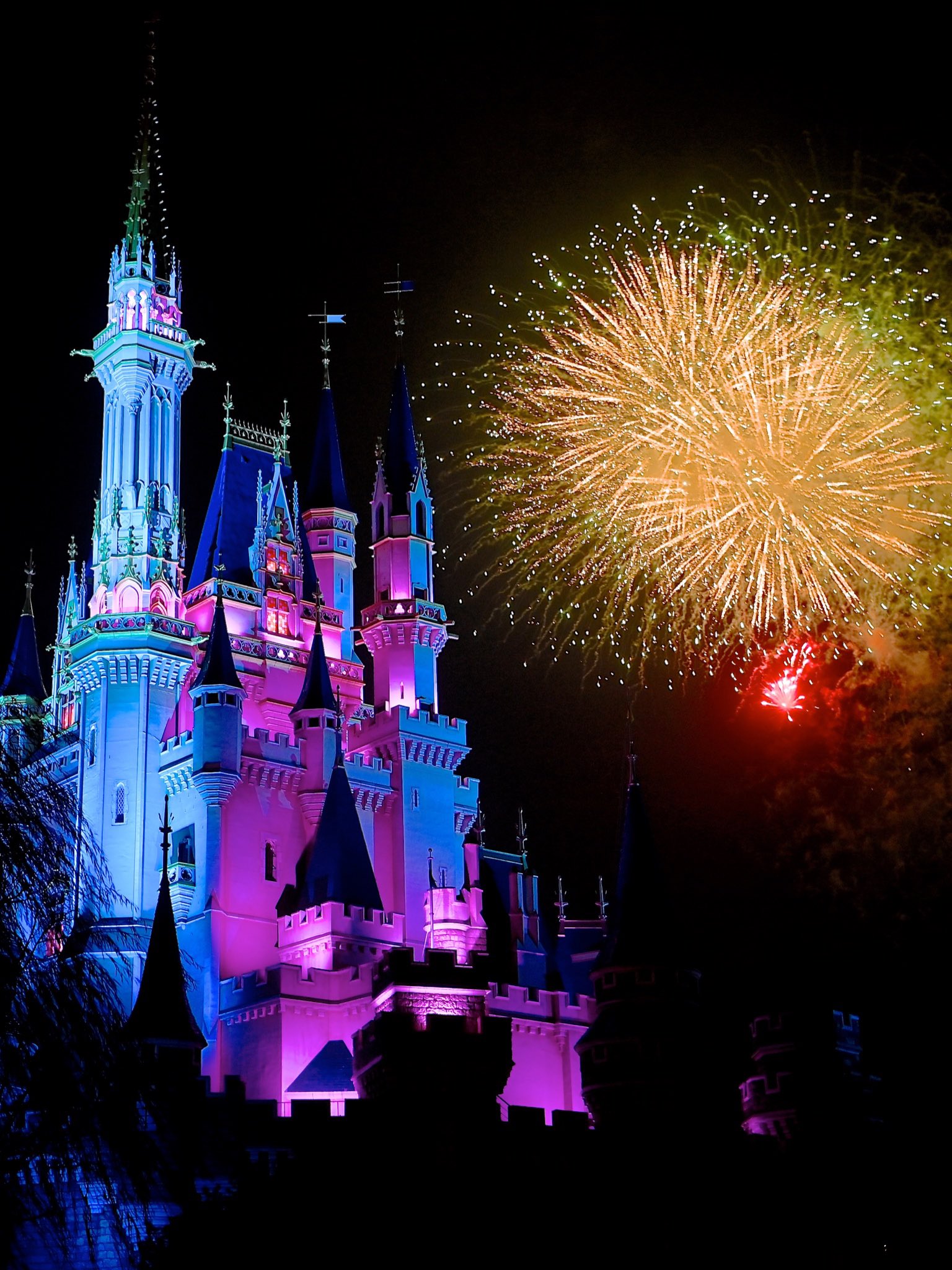 Mezzomikiのディズニーブログ ディズニー ライト ザ ナイト 花火 は 1月8日から1月31日まで休止です T Co 6teyananls T Co Xtcoiposla Twitter Mezzomikiのディズニーブログ ディズニー ライト ザ ナイト 花火 は 1月8日から1月31日まで休止です T Co 6teyananls T Co Xtcoiposla Twitter
