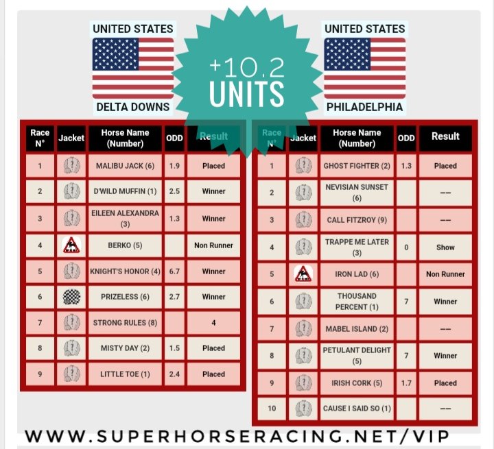 Super Horse Racing Tips tweet media