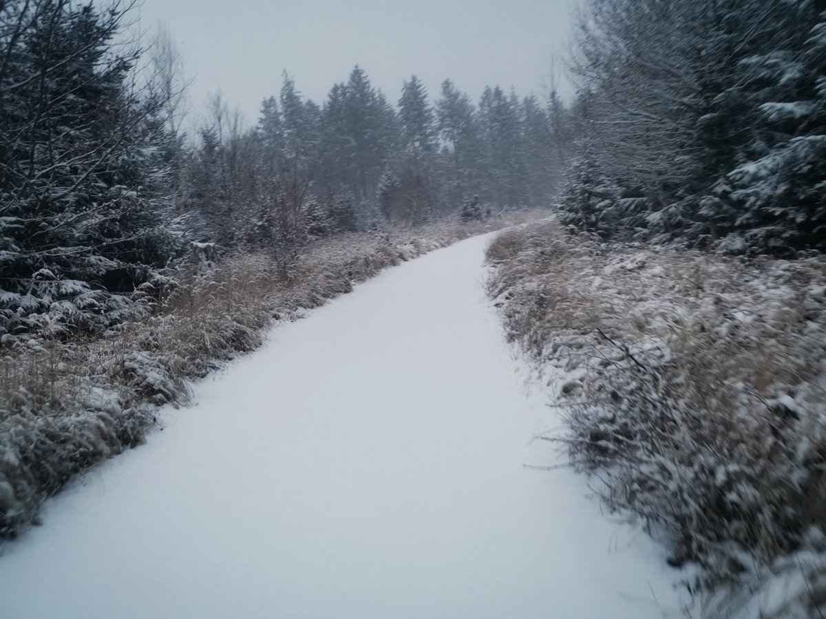 rothnroll's tweet photo. We had the best possible #start in the #day #running on #clouds ❄️. A cool thing about #digital #communication is that we can share such experiences :) And we should do more often these days 😍 #Schnee #digitalhealth #stufftododuringlockdown #munich #Wald #Wellbeing https://t.co/r0oAxMV848