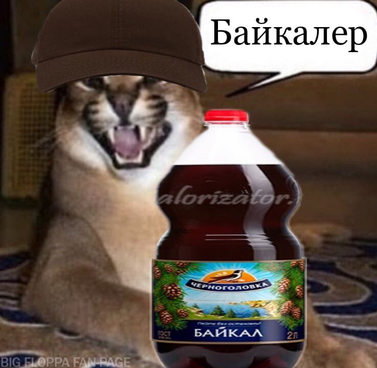 ErC7AMDW4AIelR9?format=jpg&name=900x900