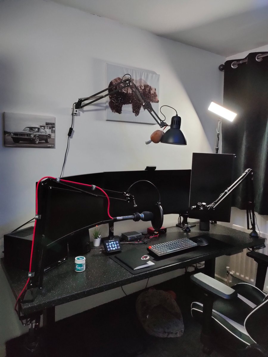 jhey ʕ•ᴥ•ʔ tweet media