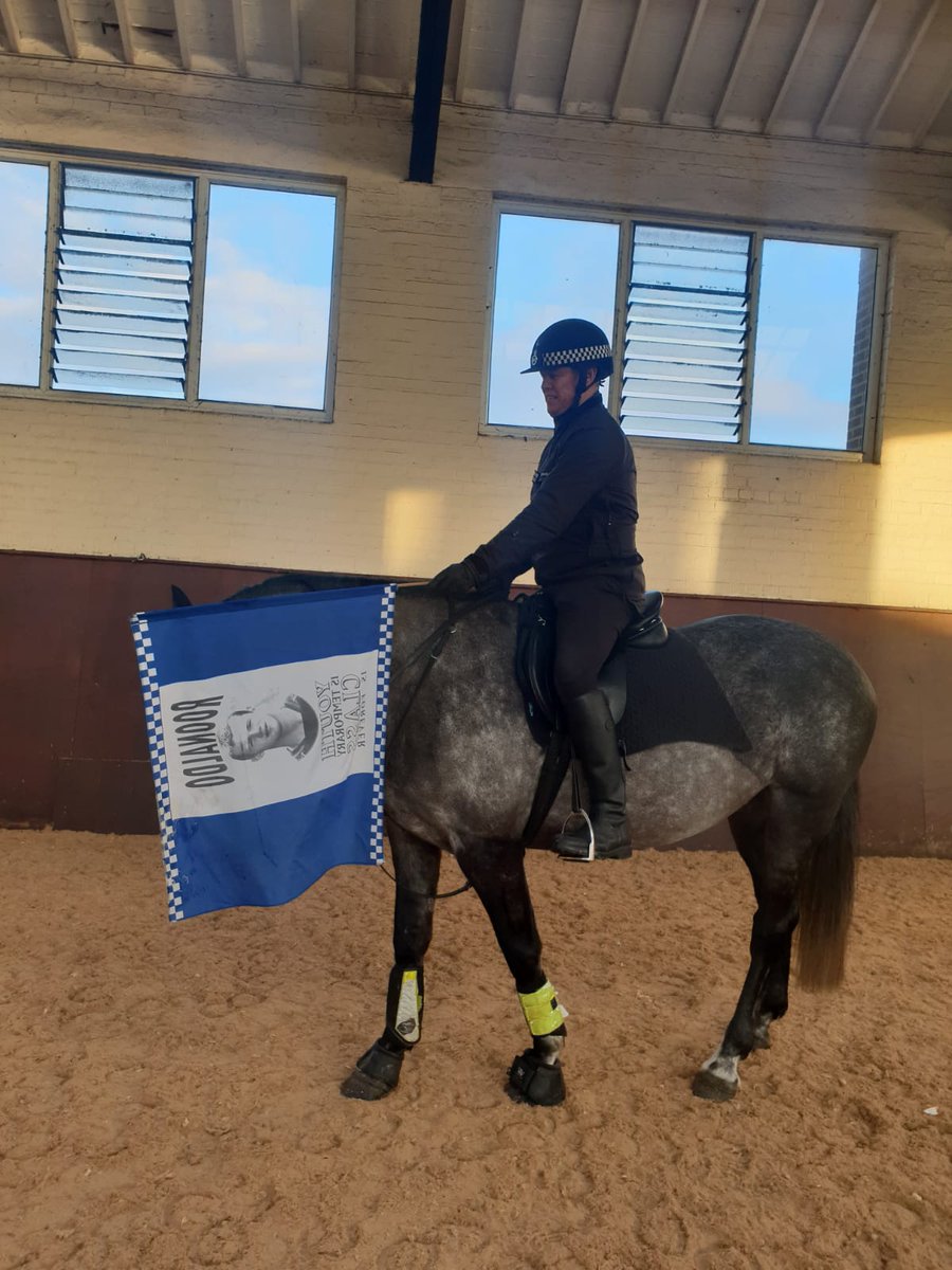 MerPolMounted's tweet photo. Guess the police horse? Our Sgt and this horse did some flag training after their lesson this morning. #StandTall #GuessThePoliceHorse #WednesdayMorning #MountedTraining https://t.co/ZUnqeTZd9t