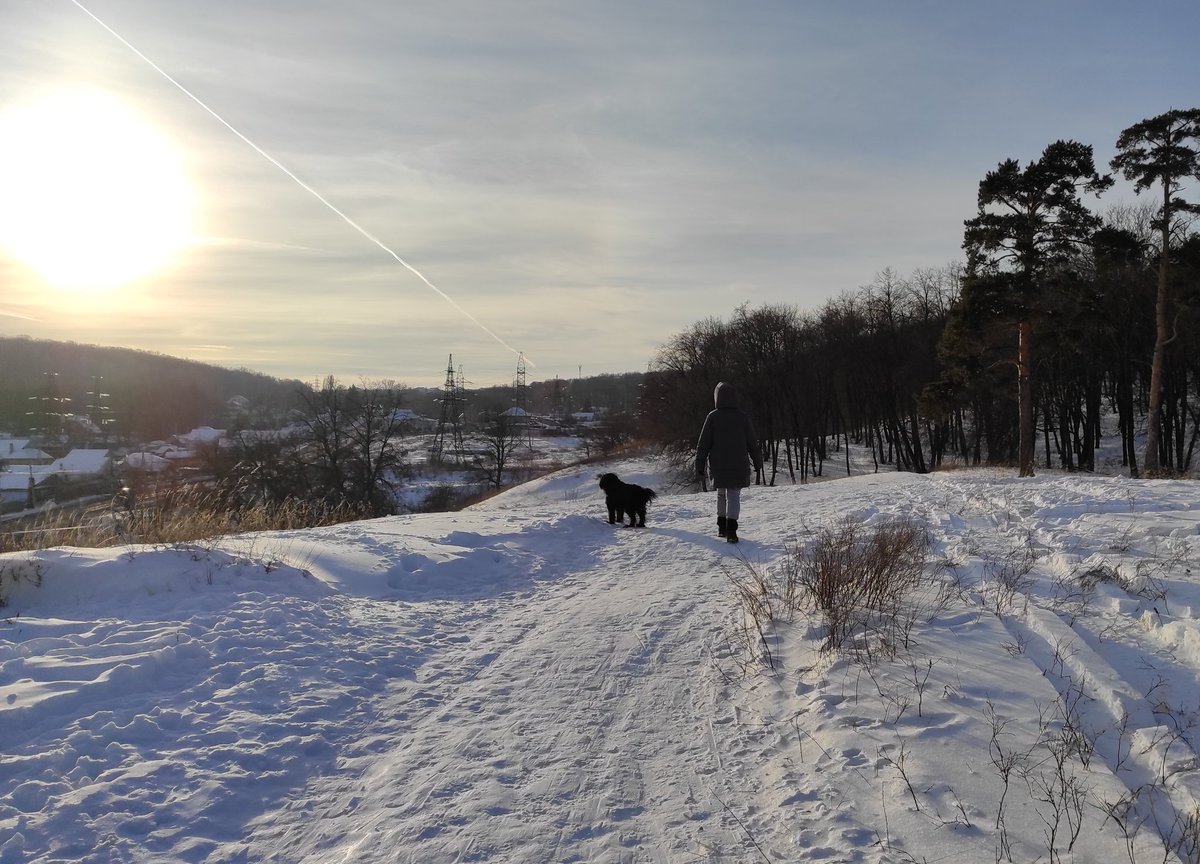 Традиционная прогулка❄️🌥️🐾