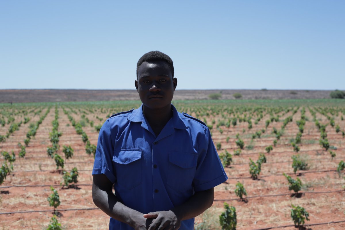 At #StellarWinery, we continuously aim to create a sustainable working environment where the health and well-being of our employees are taken into consideration. 

To learn more about our Fair for Life certification visit:  stellarorganics.co.za

#FairforLife