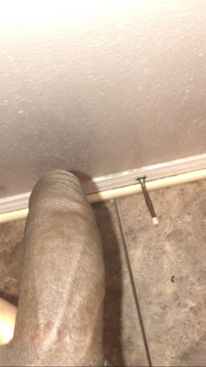 big_1jn's tweet photo. My dick so hard right now 🤪#bigboobs #bigtits #pierced #piercednipples #DD #fuck #ass #horny #sexting #boobs #tits #pussy #porn #amateurporn #cumslut #blowjob #sex #slut #dick #cock #wetpussy #bbc #gangbang #fuckme #whore #cumtribute #onlyfans #nudes #bigbooty #bigblackdick https://t.co/iMF9ikO3Ij
