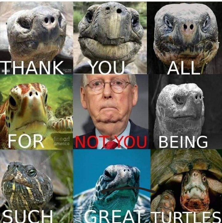 Bye Mitch Twitter is the best Twitter