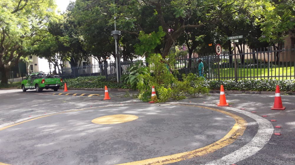 VTacGreenTeam's tweet photo. The Green Team clearing an obstruction  in the road after a tree fell at Annerley Road traffic circle in Killarney. 

#KeepingItClean &amp; Safe at the same time! ♻️ https://t.co/Dda6WPQxPQ
