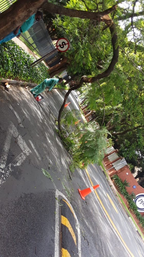 VTacGreenTeam's tweet photo. The Green Team clearing an obstruction  in the road after a tree fell at Annerley Road traffic circle in Killarney. 

#KeepingItClean &amp; Safe at the same time! ♻️ https://t.co/Dda6WPQxPQ