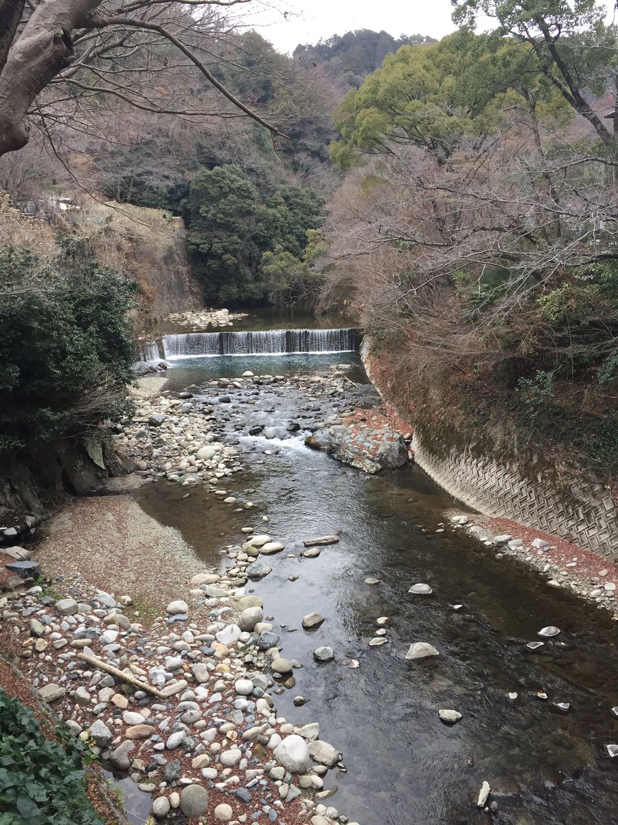 冬の河。
宿にあった手塚治虫先生の色紙。 