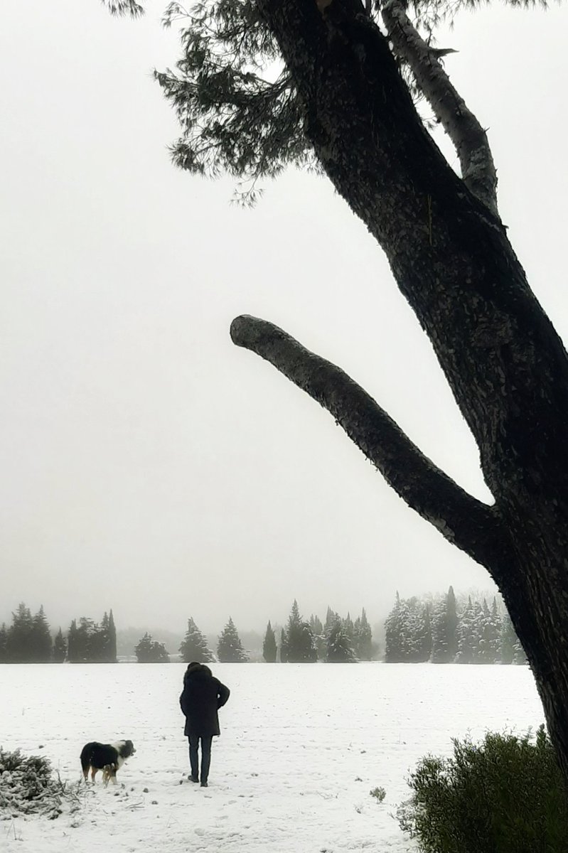 ProvenceChezN's tweet image. We went to the Domaine after the snowfall in Eygalières. What we found an immensity of white ☺️ #snowfall #snow #alpilles #provence